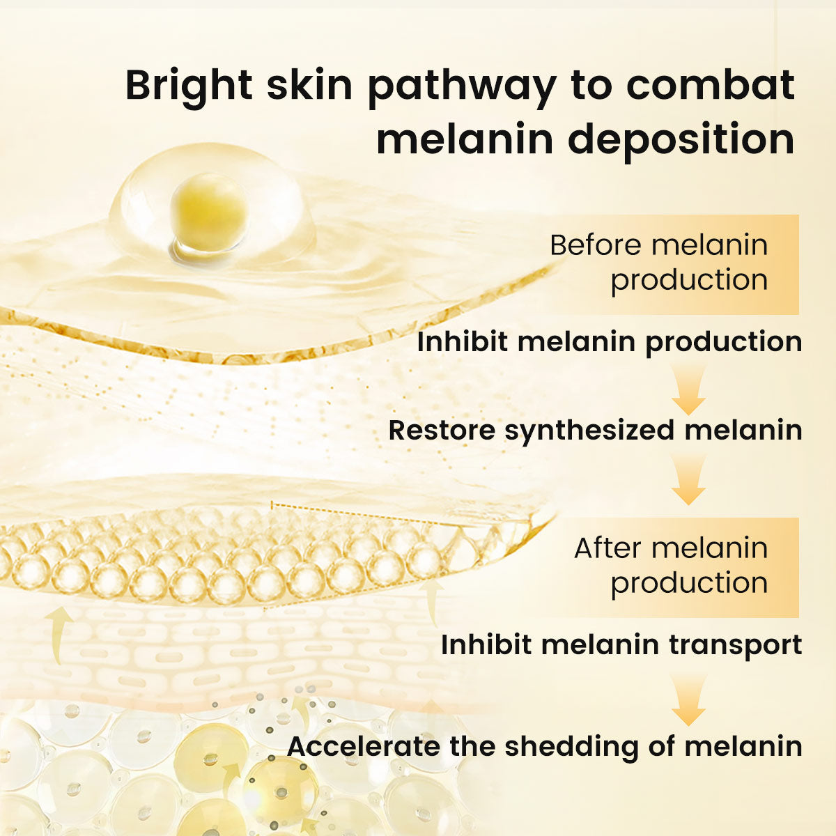 vitamin c cream with niacinamide
